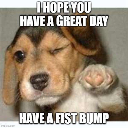 Fist bump puppy  | I HOPE YOU HAVE A GREAT DAY; HAVE A FIST BUMP | image tagged in fist bump puppy | made w/ Imgflip meme maker