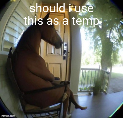 should i use this as a temp | made w/ Imgflip meme maker