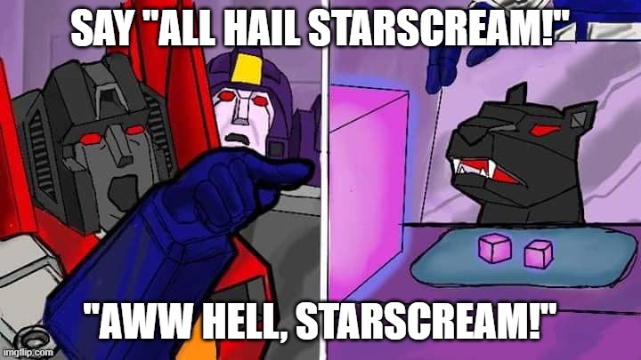 All Hail Starscream | SAY "ALL HAIL STARSCREAM!"; "AWW HELL, STARSCREAM!" | image tagged in cat meme,starscream,ravage,transformers | made w/ Imgflip meme maker