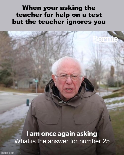 I know You Heard Me!! | When your asking the teacher for help on a test but the teacher ignores you; What is the answer for number 25 | image tagged in memes,bernie i am once again asking for your support | made w/ Imgflip meme maker