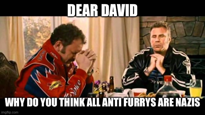 Dear Lord Baby Jesus | DEAR DAVID; WHY DO YOU THINK ALL ANTI FURRYS ARE NAZIS | image tagged in dear lord baby jesus | made w/ Imgflip meme maker