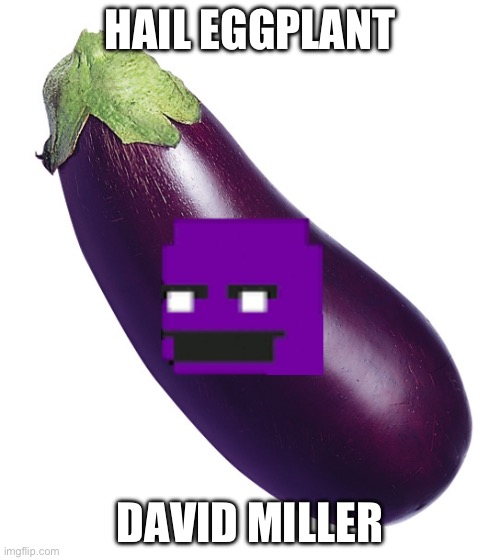 motivational eggplant | HAIL EGGPLANT; DAVID MILLER | image tagged in motivational eggplant | made w/ Imgflip meme maker