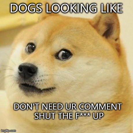 Doge Meme | DOGS LOOKING LIKE DON'T NEED UR COMMENT SHUT THE F*** UP | image tagged in memes,doge | made w/ Imgflip meme maker