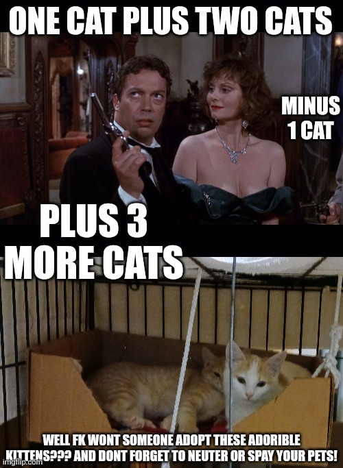 ONE CAT PLUS TWO CATS; MINUS 1 CAT; PLUS 3 MORE CATS; WELL FK WONT SOMEONE ADOPT THESE ADORIBLE KITTENS??? AND DONT FORGET TO NEUTER OR SPAY YOUR PETS! | image tagged in x plus y plus x plus y,kittens,adopt me | made w/ Imgflip meme maker