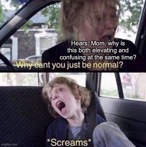 Why Can't You Just Be Normal | Hears: Mom, why is this both elevating and confusing at the same time? | image tagged in why can't you just be normal | made w/ Imgflip meme maker