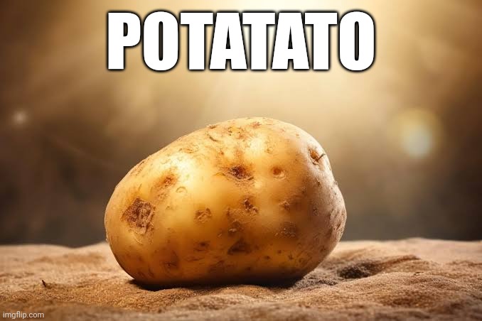 Potatato | POTATATO | image tagged in potatato | made w/ Imgflip meme maker