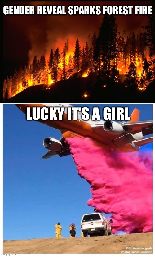 Fight gender reveal with gender reveal | GENDER REVEAL SPARKS FOREST FIRE; LUCKY IT’S A GIRL | image tagged in gender reveal,girl,fire girl | made w/ Imgflip meme maker