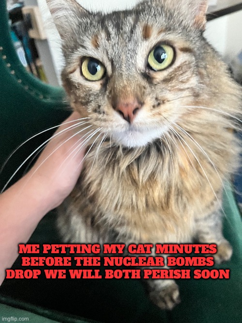 ME PETTING MY CAT MINUTES BEFORE THE NUCLEAR BOMBS DROP WE WILL BOTH PERISH SOON | made w/ Imgflip meme maker