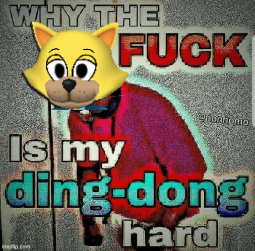 Why the fuck is my ding-ding hard | image tagged in why the fuck is my ding-ding hard | made w/ Imgflip meme maker