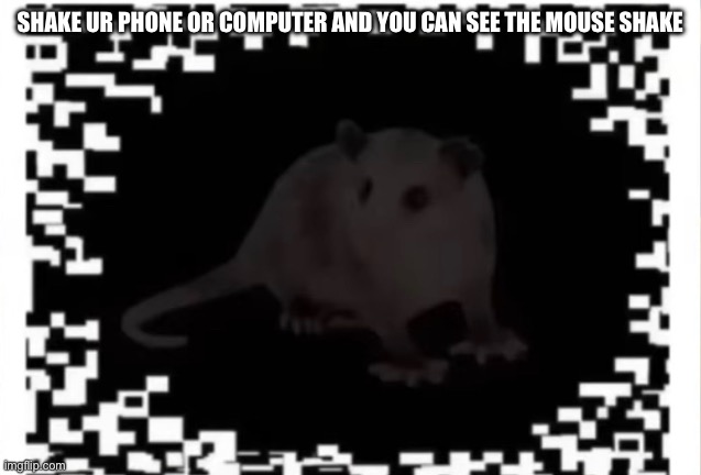 Shake ur phone or computer | SHAKE UR PHONE OR COMPUTER AND YOU CAN SEE THE MOUSE SHAKE | image tagged in funny,rats | made w/ Imgflip meme maker