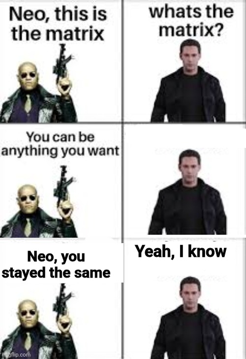 Neo, you stayed the same; Yeah, I know | image tagged in neo this is the matrix | made w/ Imgflip meme maker