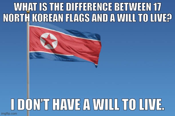 WHAT IS THE DIFFERENCE BETWEEN 17 NORTH KOREAN FLAGS AND A WILL TO LIVE? I DON’T HAVE A WILL TO LIVE. | image tagged in north korea | made w/ Imgflip meme maker