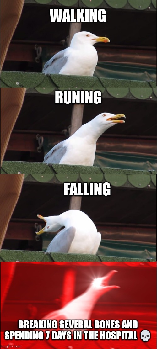 :) | WALKING; RUNING; FALLING; BREAKING SEVERAL BONES AND SPENDING 7 DAYS IN THE HOSPITAL 💀 | image tagged in memes,inhaling seagull | made w/ Imgflip meme maker