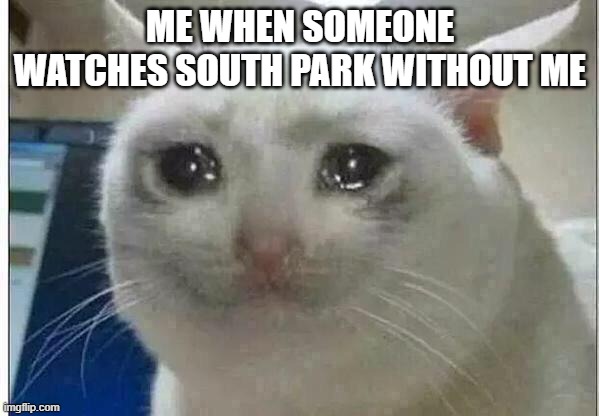 crying cat | ME WHEN SOMEONE WATCHES SOUTH PARK WITHOUT ME | image tagged in crying cat | made w/ Imgflip meme maker