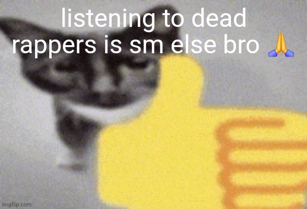 thumbs up cat | listening to dead rappers is sm else bro 🙏 | image tagged in thumbs up cat | made w/ Imgflip meme maker