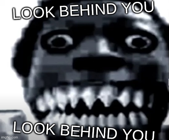 look behind you | LOOK BEHIND YOU; LOOK BEHIND YOU | image tagged in very scary image | made w/ Imgflip meme maker