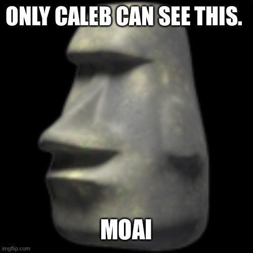 moai | ONLY CALEB CAN SEE THIS. 🗿 | image tagged in moai | made w/ Imgflip meme maker