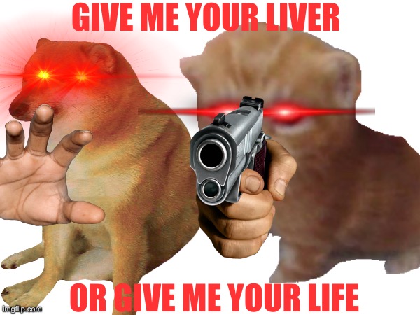 GIVE ME YOUR KNEECAPS ASWELL | GIVE ME YOUR LIVER; OR GIVE ME YOUR LIFE | image tagged in nonsense | made w/ Imgflip meme maker