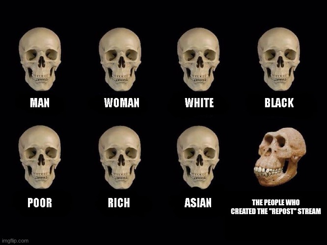 empty skulls of truth | THE PEOPLE WHO CREATED THE "REPOST" STREAM | image tagged in empty skulls of truth | made w/ Imgflip meme maker