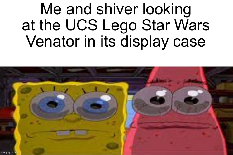 God that thing is cool | Me and shiver looking at the UCS Lego Star Wars Venator in its display case | made w/ Imgflip meme maker