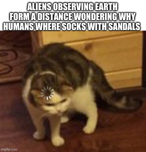 Why do people do this also ChatGPT helped me make this one | ALIENS OBSERVING EARTH FORM A DISTANCE WONDERING WHY HUMANS WHERE SOCKS WITH SANDALS | image tagged in loading cat,chatgpt,memes,funny,socks and sandals | made w/ Imgflip meme maker