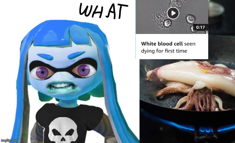 Here's A cursed image of skatez witnessing things that are horrifying to white blood cells of a squid | made w/ Imgflip meme maker