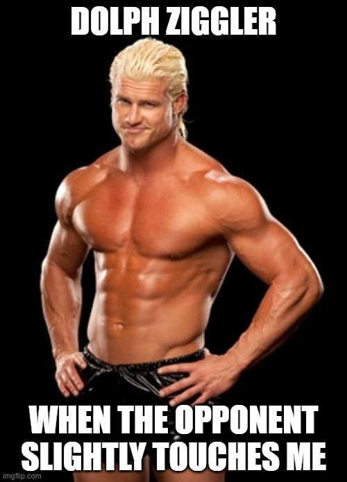 Dolph Ziggler Sells | DOLPH ZIGGLER; WHEN THE OPPONENT SLIGHTLY TOUCHES ME | image tagged in memes,dolph ziggler sells | made w/ Imgflip meme maker