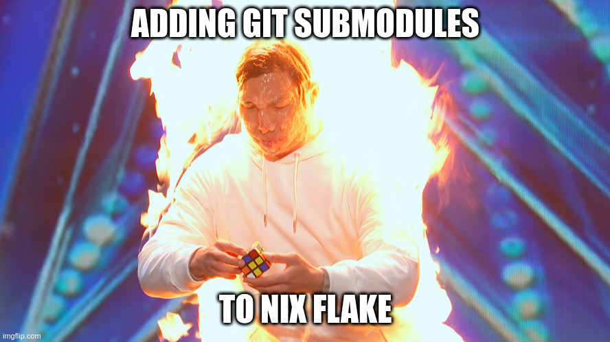 Thomas Vu brings the HEAT | ADDING GIT SUBMODULES; TO NIX FLAKE | image tagged in heat | made w/ Imgflip meme maker