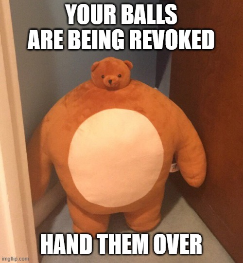 Buff Teddy Bear | YOUR BALLS ARE BEING REVOKED; HAND THEM OVER | image tagged in buff teddy bear | made w/ Imgflip meme maker