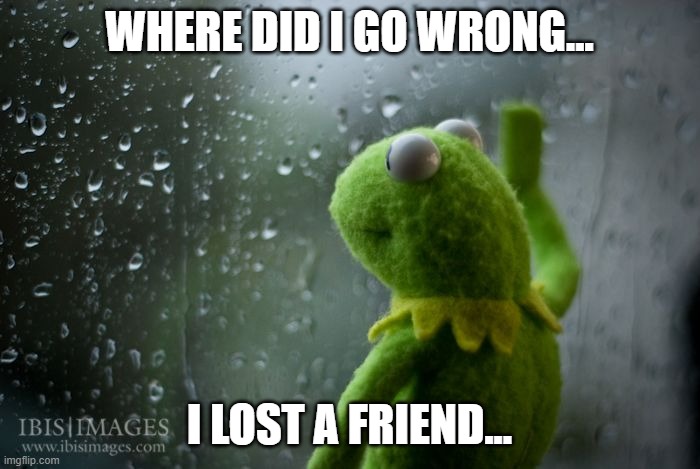 kermit window | WHERE DID I GO WRONG... I LOST A FRIEND... | image tagged in kermit window | made w/ Imgflip meme maker