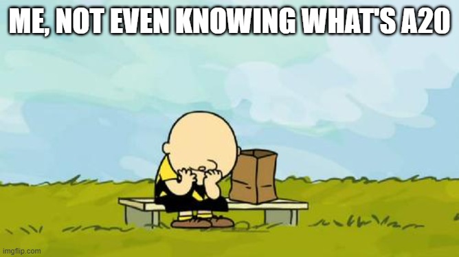 Depressed Charlie Brown | ME, NOT EVEN KNOWING WHAT'S A20 | image tagged in depressed charlie brown | made w/ Imgflip meme maker
