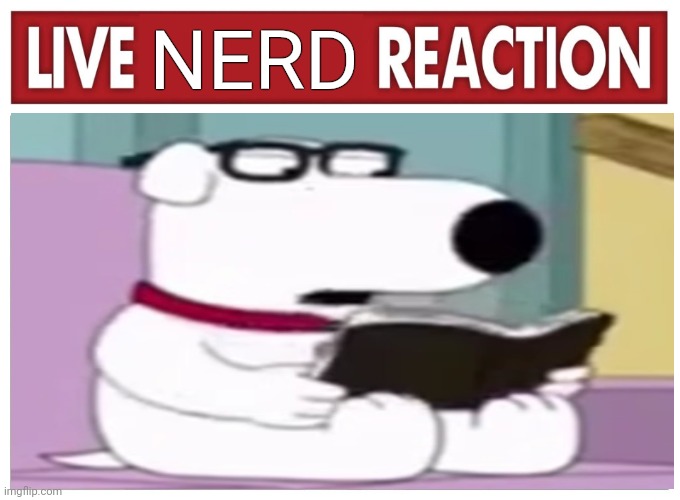 Gametoons is a degenerate | NERD | image tagged in live reaction,gametoons | made w/ Imgflip meme maker