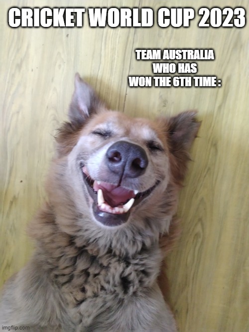 Laughing Dawg | CRICKET WORLD CUP 2023; TEAM AUSTRALIA WHO HAS WON THE 6TH TIME : | image tagged in laughing dawg | made w/ Imgflip meme maker