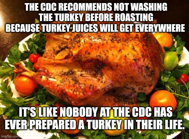 Roasted turkey | THE CDC RECOMMENDS NOT WASHING THE TURKEY BEFORE ROASTING BECAUSE TURKEY JUICES WILL GET EVERYWHERE; IT'S LIKE NOBODY AT THE CDC HAS EVER PREPARED A TURKEY IN THEIR LIFE. | image tagged in roasted turkey | made w/ Imgflip meme maker