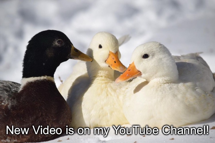 Check it OUT! | New Video is on my YouTube Channel! | image tagged in dunkin ducks | made w/ Imgflip meme maker