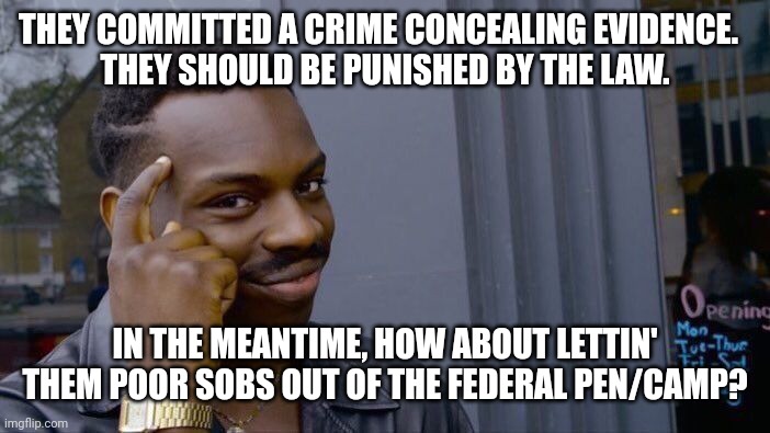 Roll Safe Think About It Meme | THEY COMMITTED A CRIME CONCEALING EVIDENCE.  
THEY SHOULD BE PUNISHED BY THE LAW. IN THE MEANTIME, HOW ABOUT LETTIN' THEM POOR SOBS OUT OF T | image tagged in memes,roll safe think about it | made w/ Imgflip meme maker