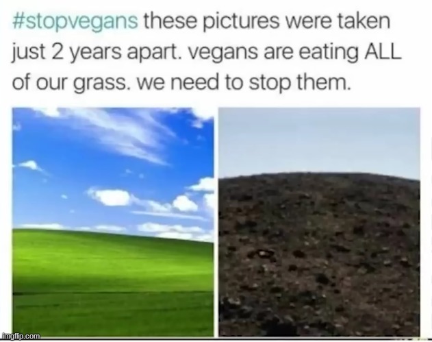 STOP EM | image tagged in funny | made w/ Imgflip meme maker