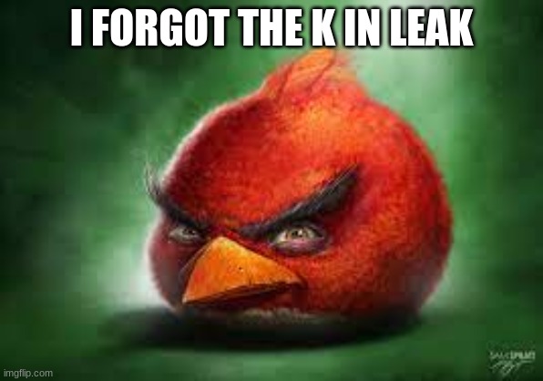 Realistic Red Angry Birds | I FORGOT THE K IN LEAK | image tagged in realistic red angry birds | made w/ Imgflip meme maker