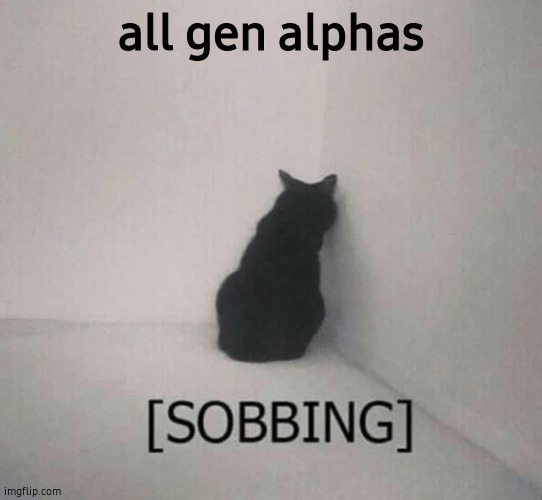 Sobbing cat | all gen alphas | image tagged in sobbing cat | made w/ Imgflip meme maker