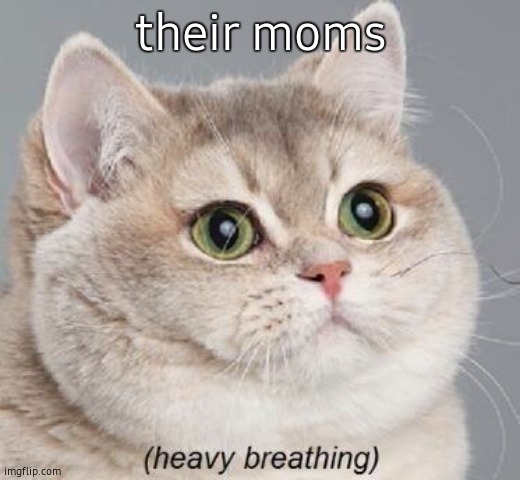 Heavy Breathing Cat Meme | their moms | image tagged in memes,heavy breathing cat | made w/ Imgflip meme maker