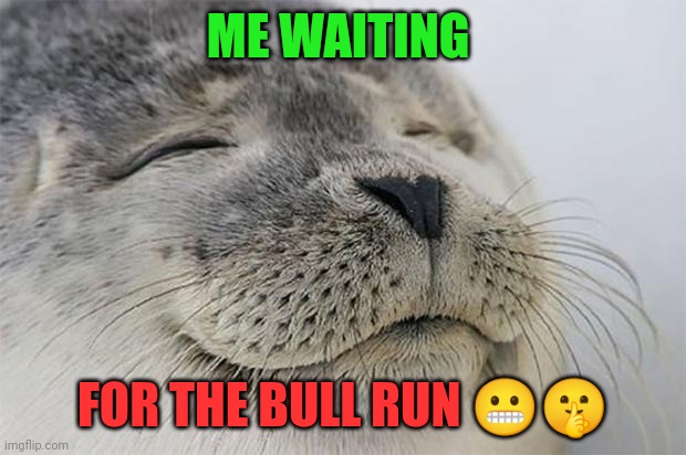 Waiting for the bull run | ME WAITING; FOR THE BULL RUN 😬🤫 | image tagged in crypto,memes,bullies,cryptocurrency,hive,funny | made w/ Imgflip meme maker