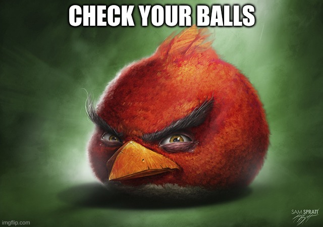 check them right now | CHECK YOUR BALLS | image tagged in i have kids in my basement,fun,funny,gif,meme,memes | made w/ Imgflip meme maker