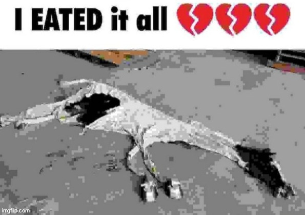 I eated it all | image tagged in i eated it all | made w/ Imgflip meme maker