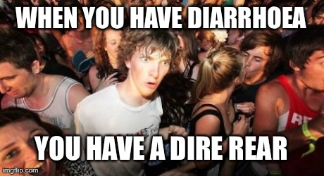 Sudden Clarity Clarence Meme | WHEN YOU HAVE DIARRHOEA YOU HAVE A DIRE REAR | image tagged in memes,sudden clarity clarence,AdviceAnimals | made w/ Imgflip meme maker