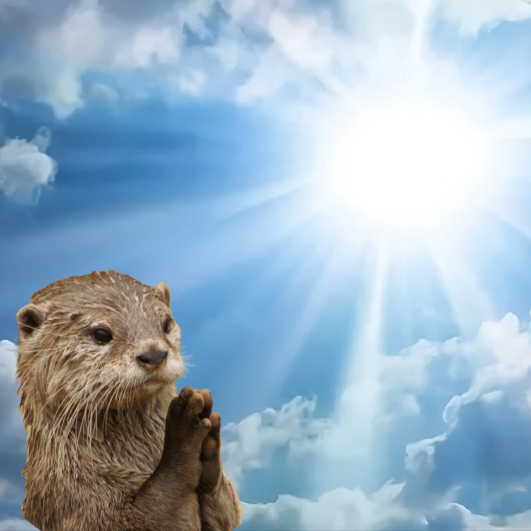 High Quality Otter praying the sun Blank Meme Template