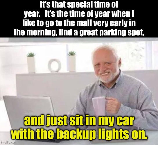 The most wonderful time… | It’s that special time of year.   It’s the time of year when I like to go to the mall very early in the morning, find a great parking spot, and just sit in my car with the backup lights on. | image tagged in harold | made w/ Imgflip meme maker