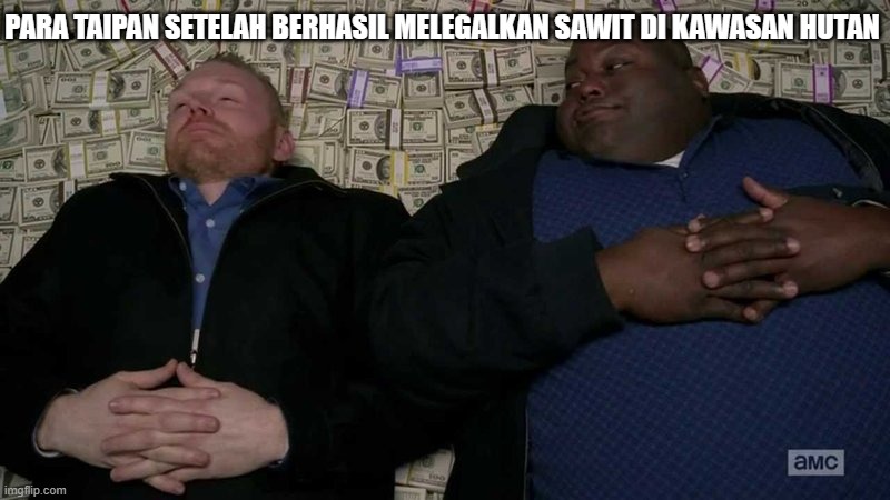 Huell rolling in money | PARA TAIPAN SETELAH BERHASIL MELEGALKAN SAWIT DI KAWASAN HUTAN | image tagged in huell rolling in money | made w/ Imgflip meme maker