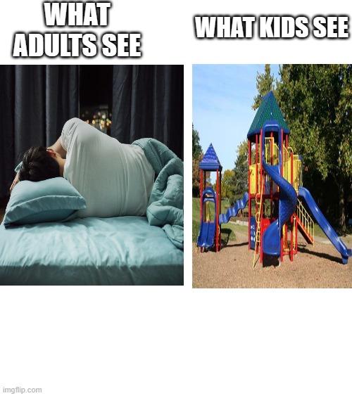 it's true | WHAT ADULTS SEE; WHAT KIDS SEE | image tagged in what adults see what kids see | made w/ Imgflip meme maker