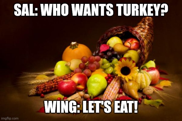 Thanksgiving with the gang | SAL: WHO WANTS TURKEY? WING: LET'S EAT! | image tagged in thanksgiving | made w/ Imgflip meme maker