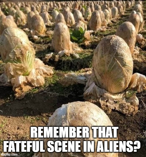 Aliens | REMEMBER THAT FATEFUL SCENE IN ALIENS? | image tagged in aliens,funny memes | made w/ Imgflip meme maker
